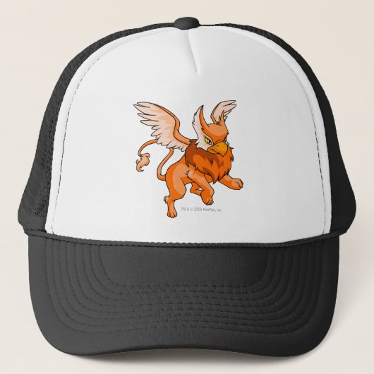 Casquette Orange d'aire (Devant)