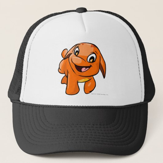 Casquette Orange de Poogle (Devant)