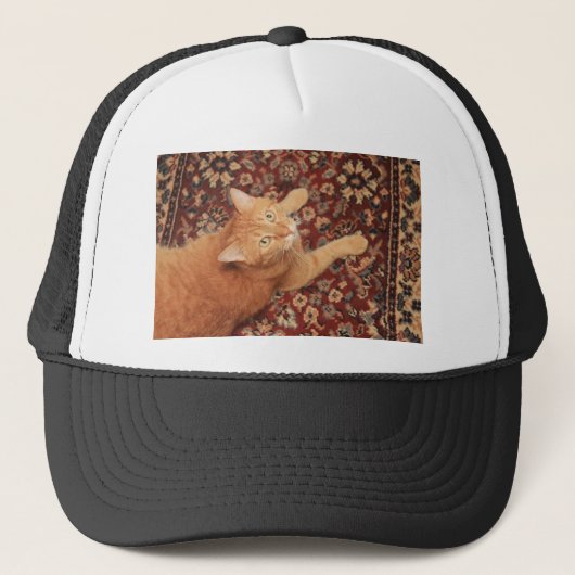 Casquette Orange Tabby (Devant)