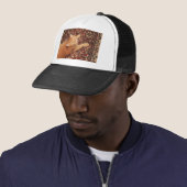 Casquette Orange Tabby (En situation)