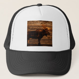 Casquette orignaux en bois de taureau de faune affligés par
