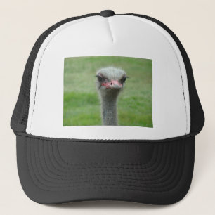 Casquette Ostrich