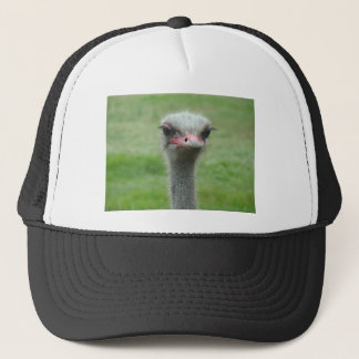 Casquette Ostrich