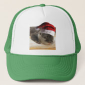 Casquette Otter endormi de Noël (Devant)