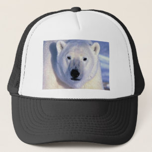 Casquette Ours blanc