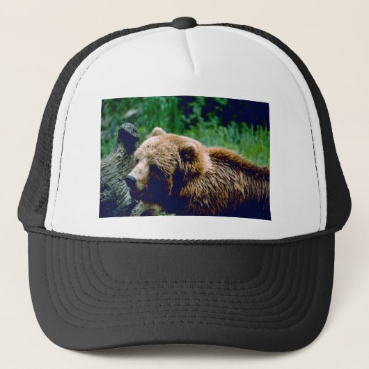 Casquette Ours Brown de Kodiak (Devant)