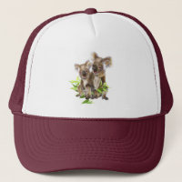 Ours Koala, animal australien mignon