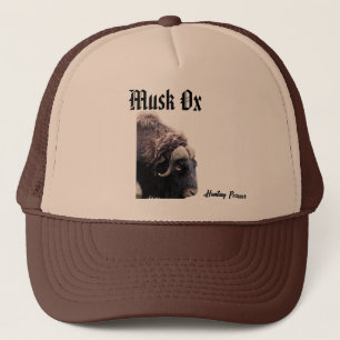 Casquette Ox musqué