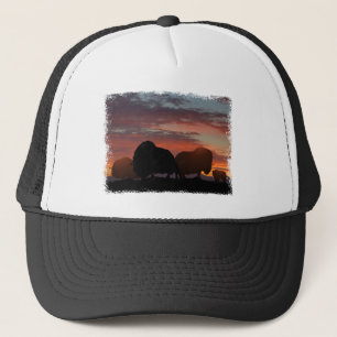 Casquette Ox musqué