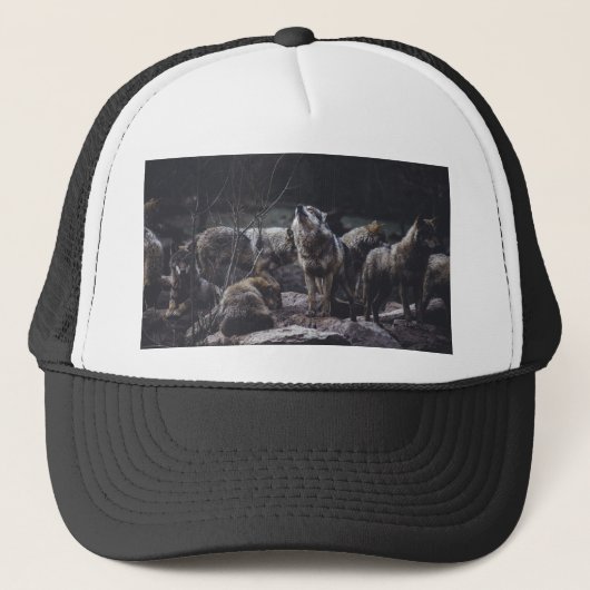 Casquette Pack Wolf (Devant)