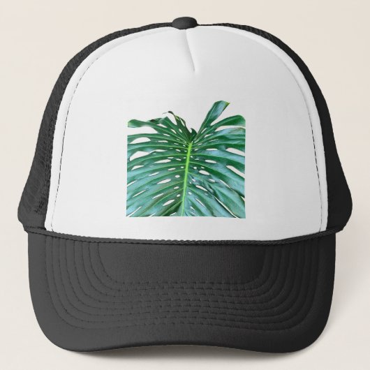 Casquette Palm Leaf, feuillage tropical, forêt tropicale (Devant)