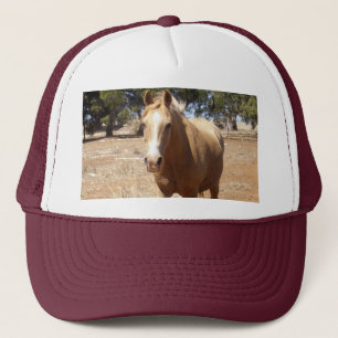Casquette Palomino Horse Salutation, -
