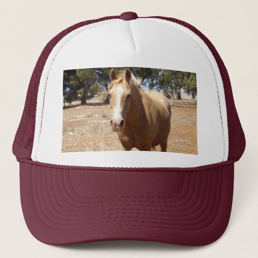 Casquette Palomino Horse Salutation, - (Devant)
