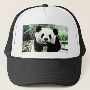 Casquette Panda
