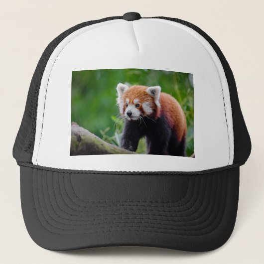 Casquette Panda rouge (Devant)