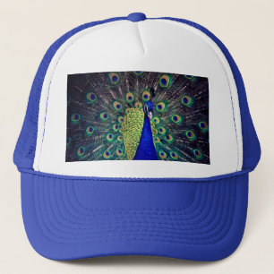 Casquette Paon bleu cobalt