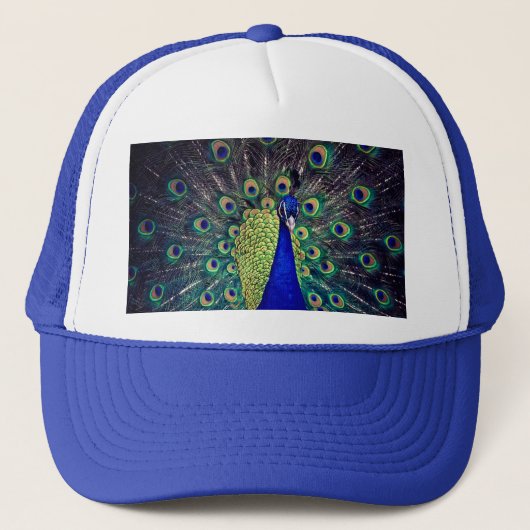 Casquette Paon bleu cobalt (Devant)