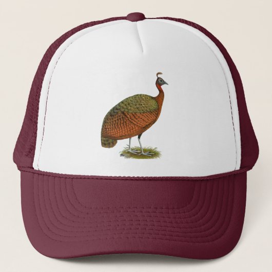 Casquette Paon : Congo Peahen (Devant)