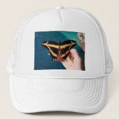 Casquette Papillon à queue jaune géant (Devant)