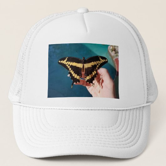 Casquette Papillon à queue jaune géant (Devant)