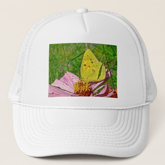 Casquette Papillon au soufre (Devant)