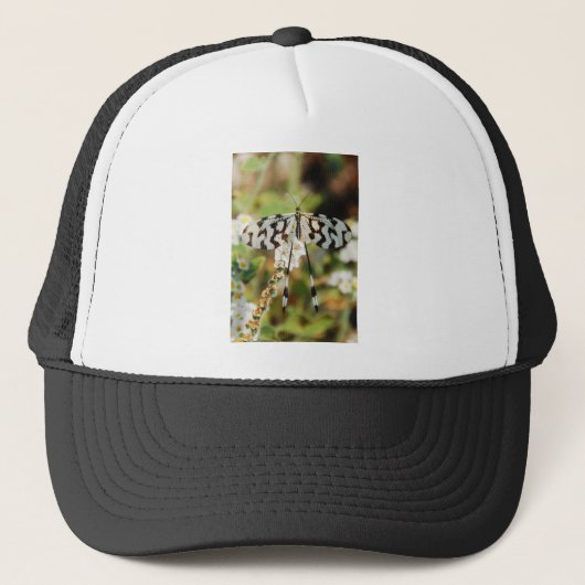 Casquette Papillon blanc et chocolat Brown Fantail (Devant)