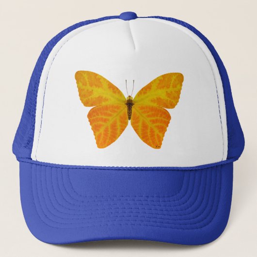 Casquette Papillon feuille Aspen 3 (Devant)