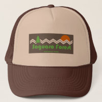 Parc national de la Forêt de Saguaro Rétro