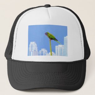 Casquette ~Parrot~ POP ART CASQUETTE, BLEU