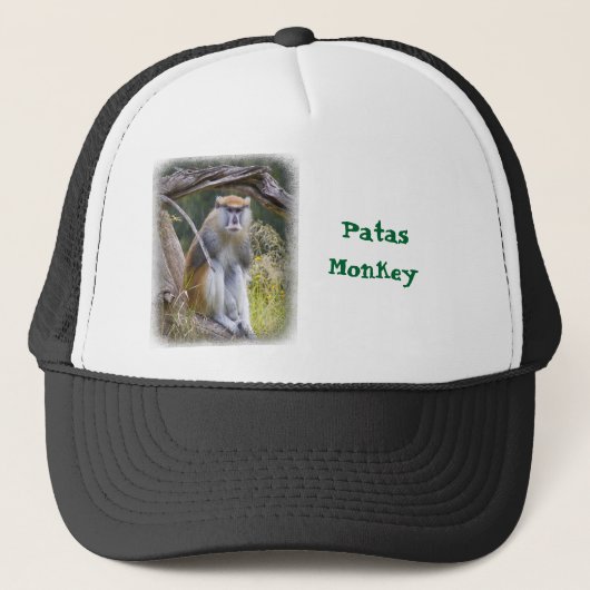 Casquette Patas Monkey (Devant)