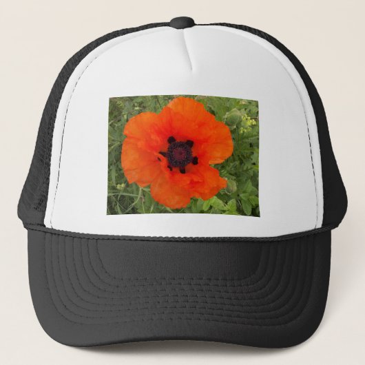 Casquette pavot (Devant)
