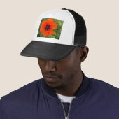 Casquette pavot (En situation)
