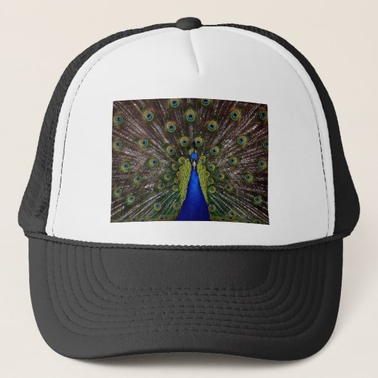 Casquette Peacock (Devant)
