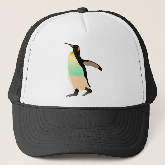 Casquette Peguin coloré (Devant)