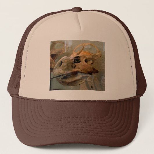 Casquette Peinture à l'huile de crâne Dino (Devant)