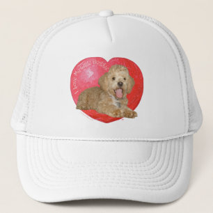 Casquette Pékinois / Croisement Caniche Saint-Valentin