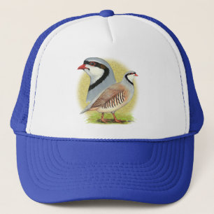Casquette Perdrix de Chukar combinée