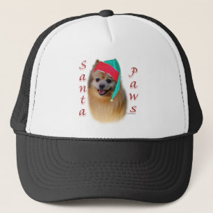 Casquette Père Noël Paws