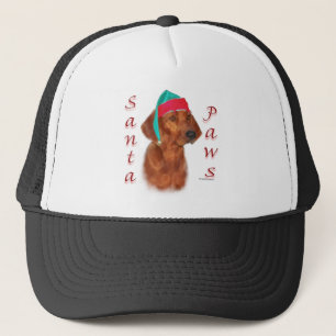 Casquette Père Noël Paws