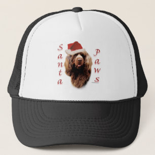Casquette Père Noël Paws, Espagne du Sussex