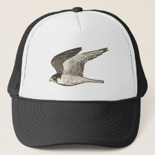 Casquette Peregrine Falcon Crayon coloré Art
