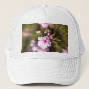 Casquette Périwinkle