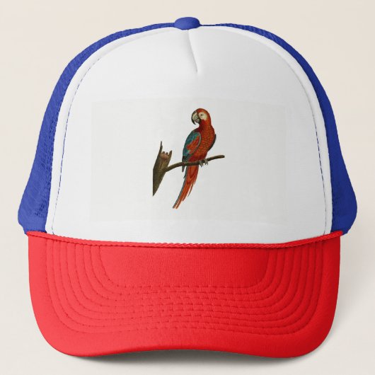Casquette Perroquet (Devant)