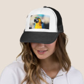 Casquette perroquet (En situation)