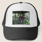 Casquette Perroquet (Devant)