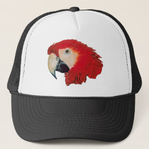 Casquette Perroquet d'ara