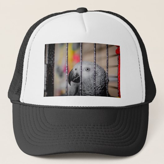 Casquette Perroquet gris (Devant)