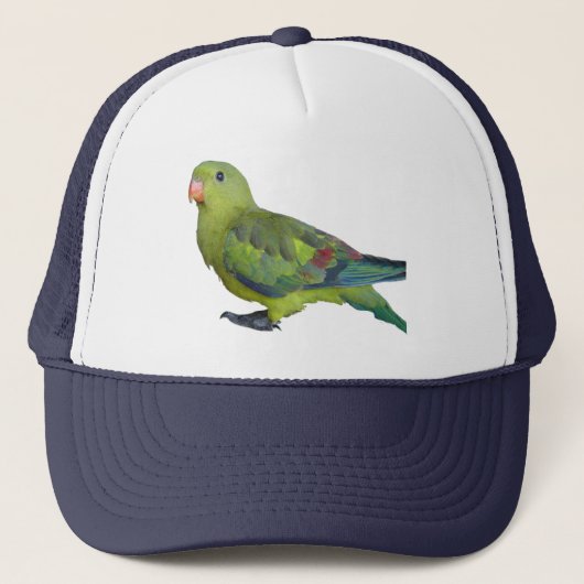 Casquette Perroquet vert (Devant)