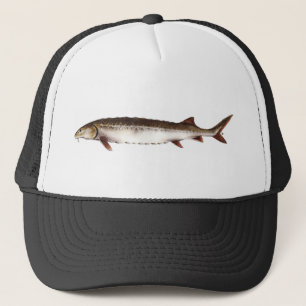 Casquette persan d'esturgeon