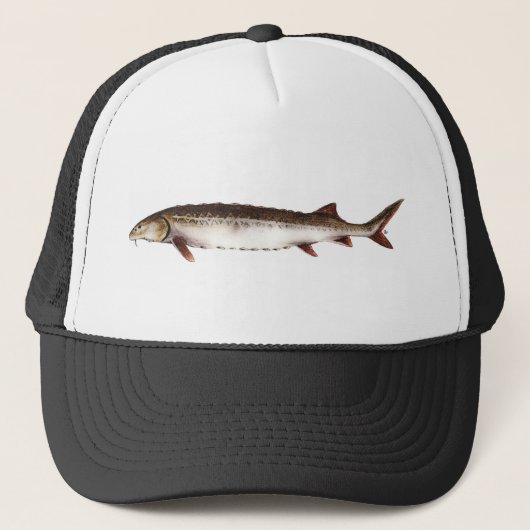 Casquette persan d'esturgeon (Devant)
